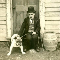 Ho perdonato errori quasi imperdonabili - Charlie Chaplin