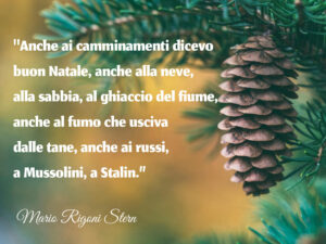 Poesie sul Natale - Anche ai camminamenti dicevo Buon Natale